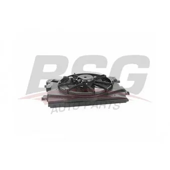 Ventilateur, refroidissement du moteur BSG BSG 75-510-001 pour RENAULT CLIO 1.5 dCi 75 - 75cv