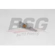 BSG BSG 75-810-005 - Feu clignotant
