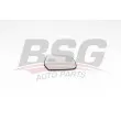 BSG BSG 75-910-010 - Verre de rétroviseur, rétroviseur extérieur