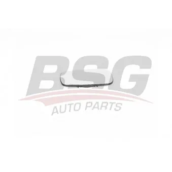 BSG BSG 75-910-015 - Verre de rétroviseur, rétroviseur extérieur