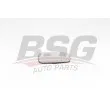 BSG BSG 75-910-017 - Verre de rétroviseur, rétroviseur extérieur