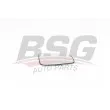 BSG BSG 75-910-019 - Verre de rétroviseur, rétroviseur extérieur