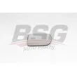 BSG BSG 75-910-030 - Verre de rétroviseur, rétroviseur extérieur