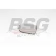 BSG BSG 75-910-031 - Verre de rétroviseur, rétroviseur extérieur