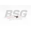 BSG BSG 15-109-001 - Gicleur d'huile, refroidissement du piston