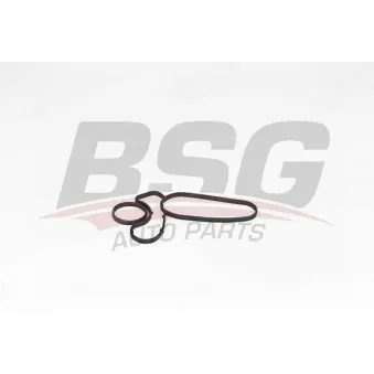 BSG BSG 15-116-021 - Joint, radiateur d'huile