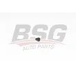 BSG BSG 15-122-004 - Vis de purge d'air / - soupape, radiateur