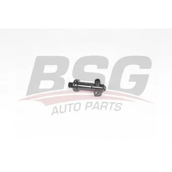 Thermostat, refroidissement - réaspiration d'échappement BSG BSG 15-125-003 pour MERCEDES-BENZ LP 120 d - 177cv