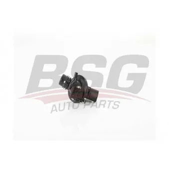 BSG BSG 15-125-007 - Thermostat d'eau