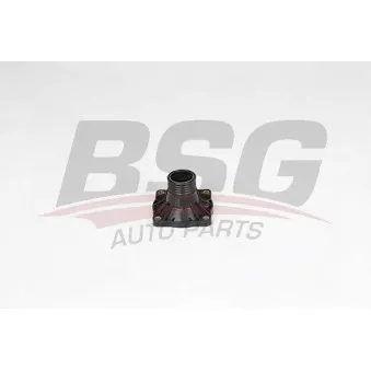 BSG BSG 15-126-001 - Boîtier du thermostat