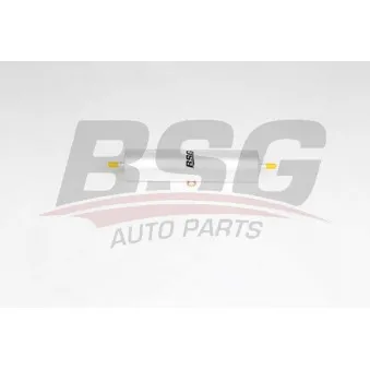 Filtre à carburant BSG OEM WJN000080