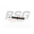 BSG BSG 15-300-039 - Jeu de 2 amortisseurs arrière
