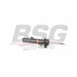 BSG BSG 15-300-043 - Amortisseur avant gauche