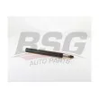 BSG BSG 15-300-045 - Jeu de 2 amortisseurs avant