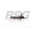 BSG BSG 15-300-053 - Amortisseur arrière droit 