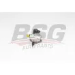 BSG BSG 15-355-024 - Pompe hydraulique, direction