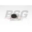 BSG BSG 15-500-027 - Pompe à eau