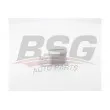 BSG BSG 15-506-012 - Radiateur d'huile