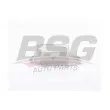 BSG BSG 15-506-037 - Boîtier, filtre à huile