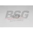 BSG BSG 15-506-042 - Radiateur d'huile