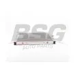 BSG BSG 15-520-029 - Radiateur, refroidissement du moteur