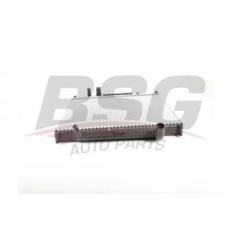 Radiateur, refroidissement du moteur BSG OEM PCC500300