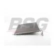 BSG BSG 15-525-017 - Condensateur, climatisation