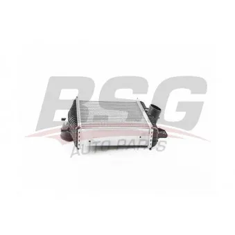 BSG BSG 15-535-015 - Intercooler, échangeur