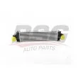 BSG BSG 15-535-020 - Intercooler, échangeur