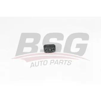 Suspension, radiateur BSG BSG 15-700-054