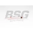 BSG BSG 15-830-012 - Pompe à carburant