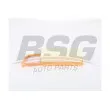 BSG BSG 25-135-020 - Filtre à air
