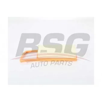 Filtre à air BSG OEM 1631689980
