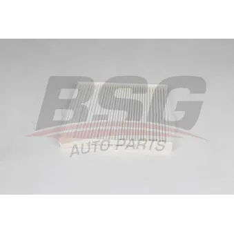 Filtre, air de l'habitacle BSG OEM 6479C9