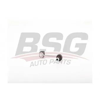 BSG BSG 25-310-044 - Entretoise/tige, stabilisateur