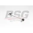 BSG BSG 25-310-047 - Entretoise/tige, stabilisateur