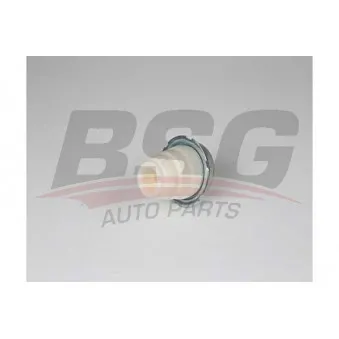 BSG BSG 25-700-009 - Butée élastique, suspension
