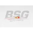 Sonde de température, liquide de refroidissement BSG [BSG 25-840-012]