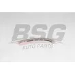 Coulisse, chaîne de distribution BSG [BSG 30-109-025]