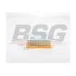 BSG BSG 30-135-030 - Filtre à air