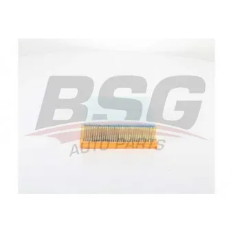 Filtre à air BSG BSG 30-135-030 pour FORD MONDEO 2.5 - 220cv
