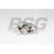 BSG BSG 30-245-011 - Étrier de frein avant droit