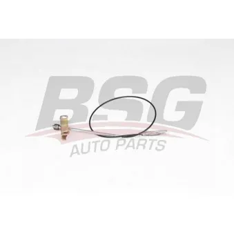 Tirette à câble, frein de stationnement BSG OEM YC152A793AE