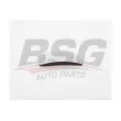 BSG BSG 30-910-035 - Verre de rétroviseur, rétroviseur extérieur