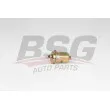 BSG BSG 40-130-010 - Filtre à carburant