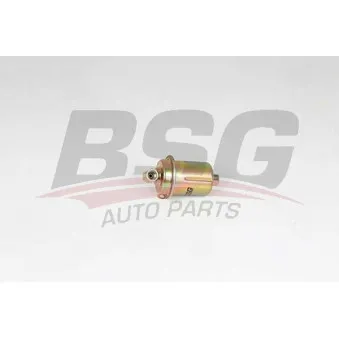 Filtre à carburant BSG OEM S3191102100