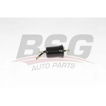 BSG BSG 40-130-021 - Filtre à carburant