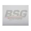 BSG BSG 40-145-023 - Filtre, air de l'habitacle