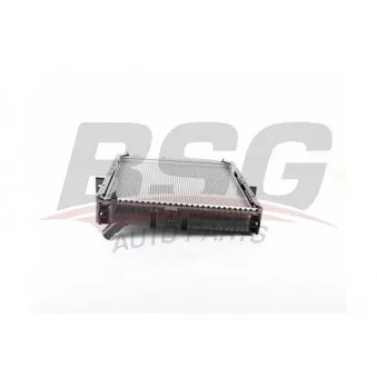 BSG BSG 40-520-059 - Radiateur, refroidissement du moteur