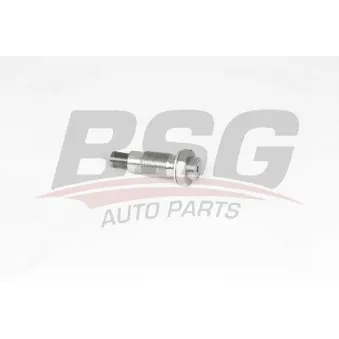 Tendeur, chaîne de distribution BSG OEM A6680500011
